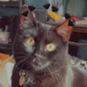 Meet your Posher, Jade